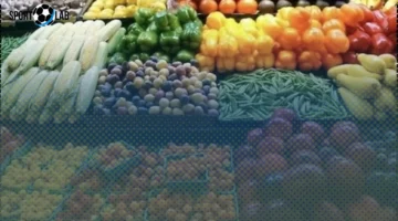 أسعار الخضروات والفاكهة في الأسواق المصرية الأحد